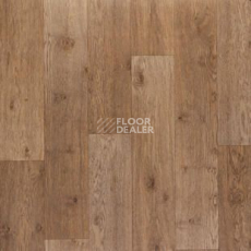 Линолеум Tarkett Discovery Dublin 2 фото 1 | FLOORDEALER